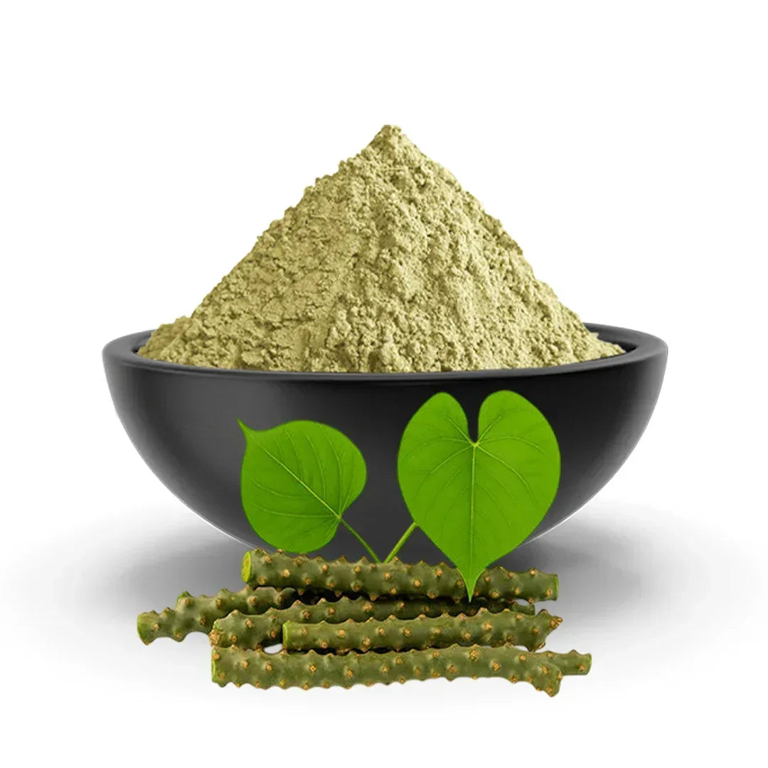 Guduchi Powder 100% Natural | Giloy Powder - Amrita Churn | Help To Increase Immunity For Men & Women - Akki Natural 